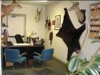 Auto dealership renovation3